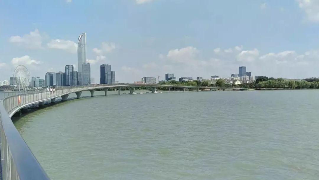 藝術中心橋,中塘河橋,中茵皇冠棧橋,金水灣棧橋,玲瓏橋(鳳凰涇橋)