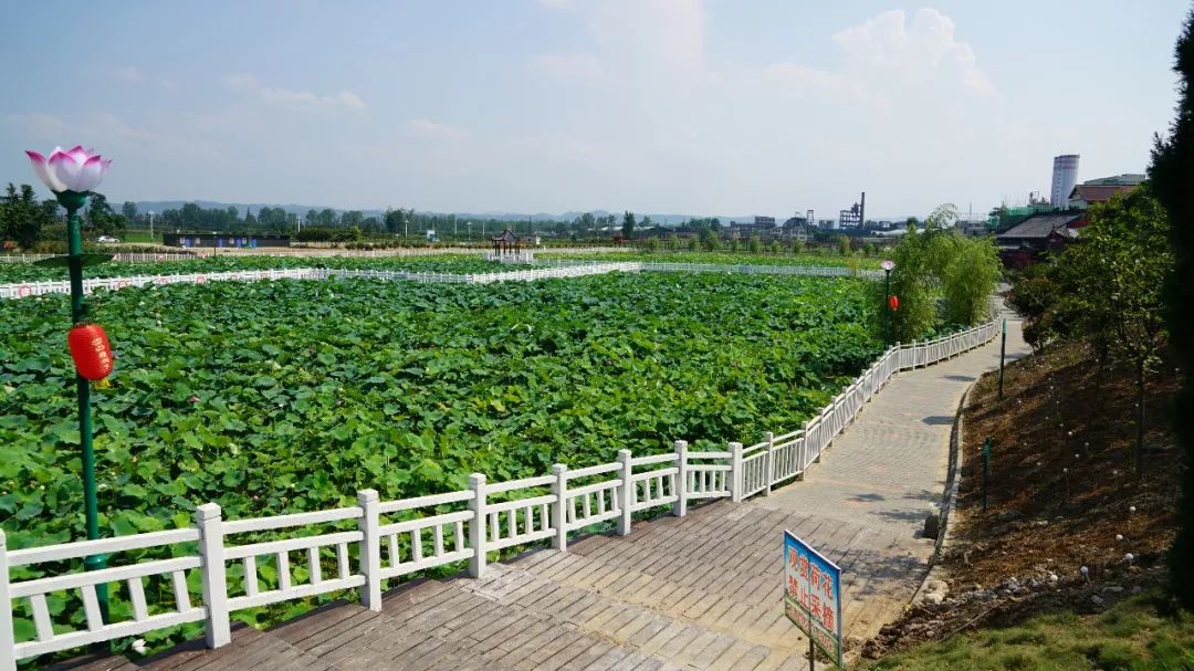 《陝西建設》|美麗鄉村入畫來——城固縣蓮花池村建設市級美麗鄉村