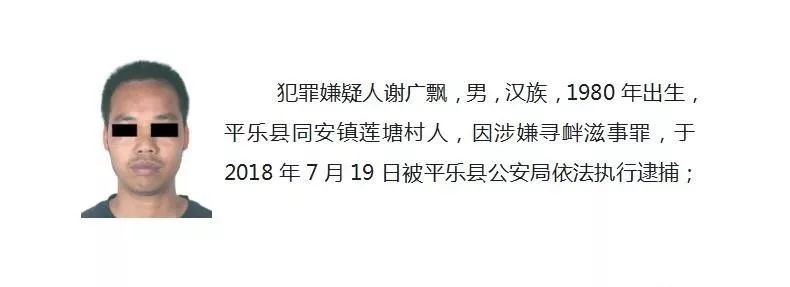 广西平乐县公安局科学谋划,周密部署,打掉了以谢广石为头目的恶势力