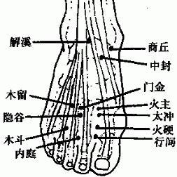 昇陽大法排寒針法及大叉穴