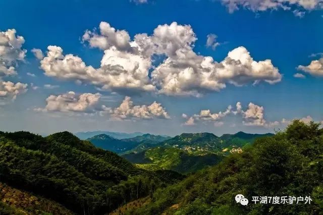 月华山养心谷位于浙江省绍兴县稽东镇占岙村千年香榧林月华山顶,是个