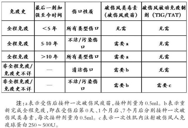 破伤风注射部位图解图片