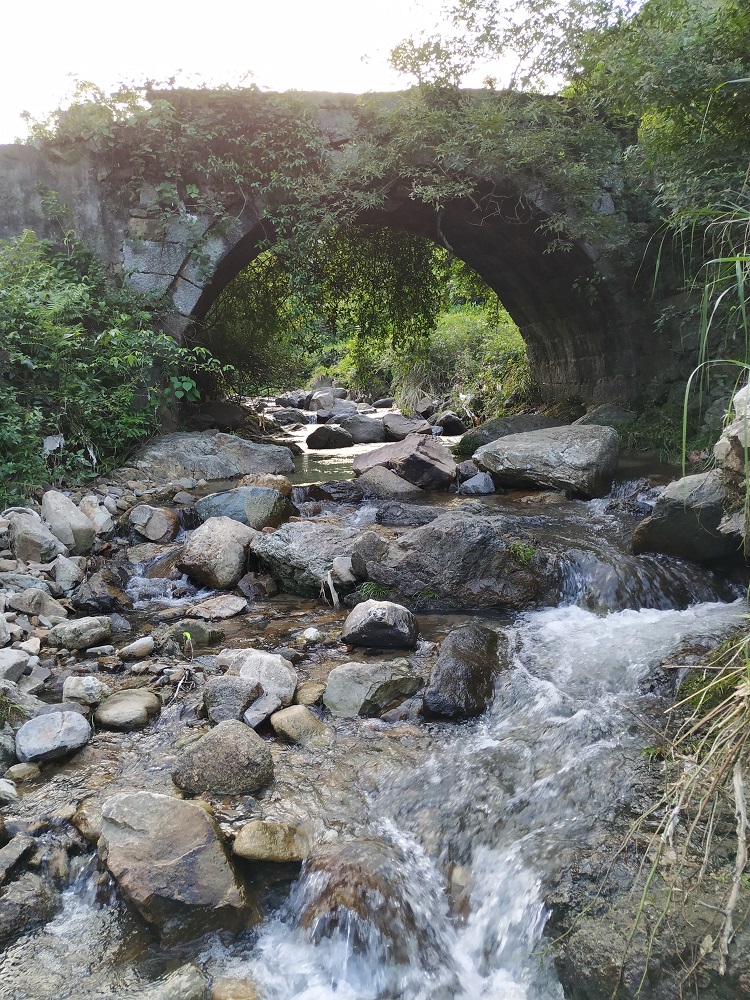 自驾龙山村:最美乡村里那一张张灿烂的笑脸