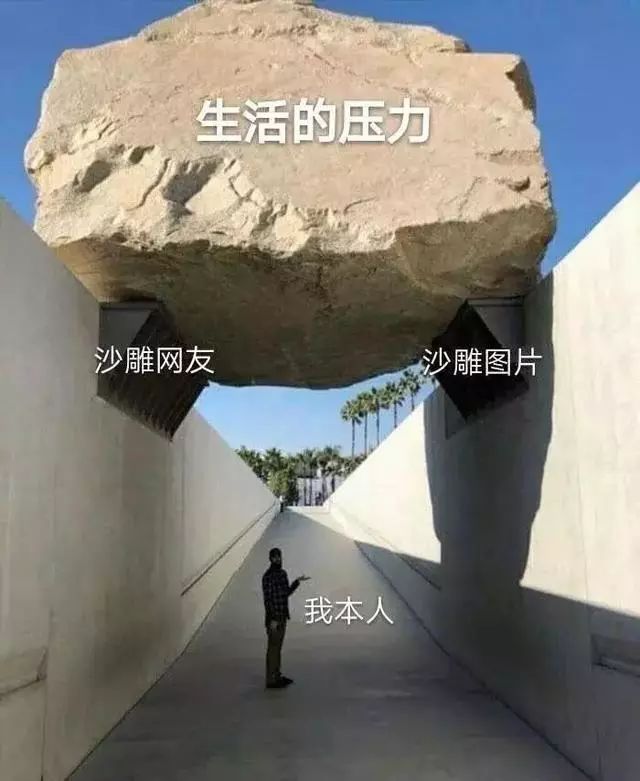 眾生皆苦只有沙雕網友是快樂的味道