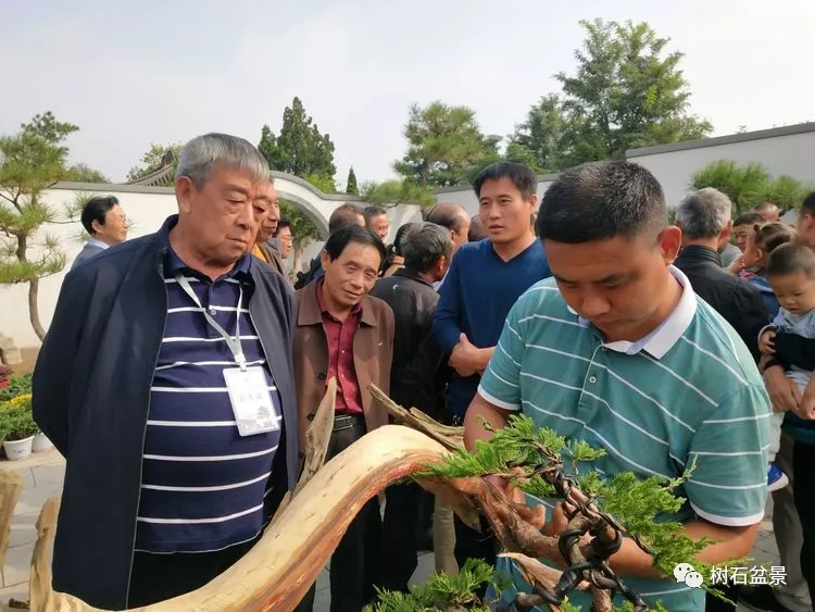 中国风景园林学会花卉盆景赏石分会副理事长,河南省盆景协会会长禹端