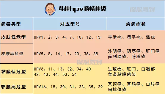 hpv疫苗已到家门口这4类人群不适合接种