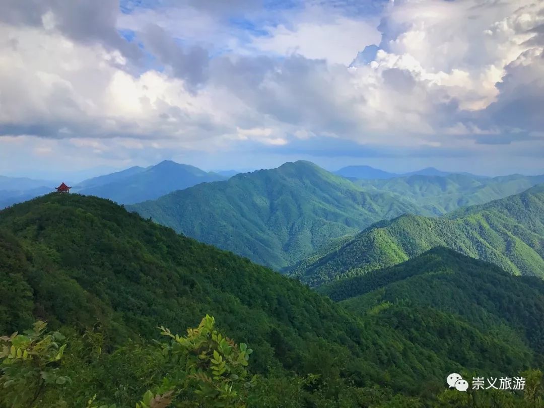 創建活動以來,崇義縣主動處理好生態保護,生態治理與生態發展的關係