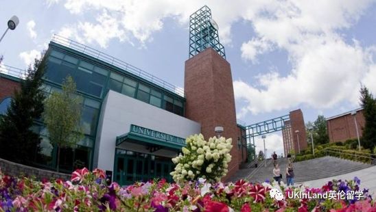 binghamton university-suny