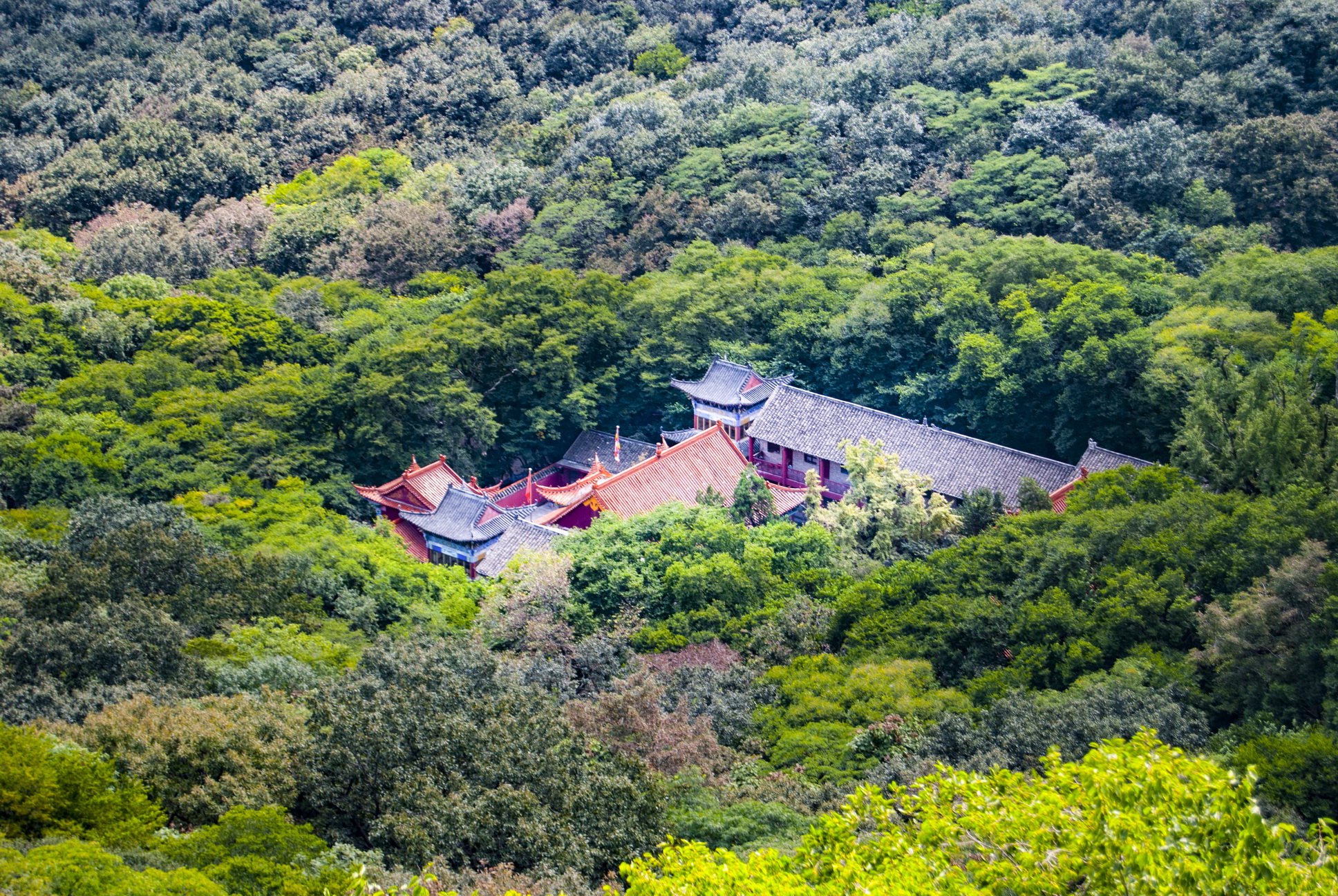 徐州国家森林公园图片