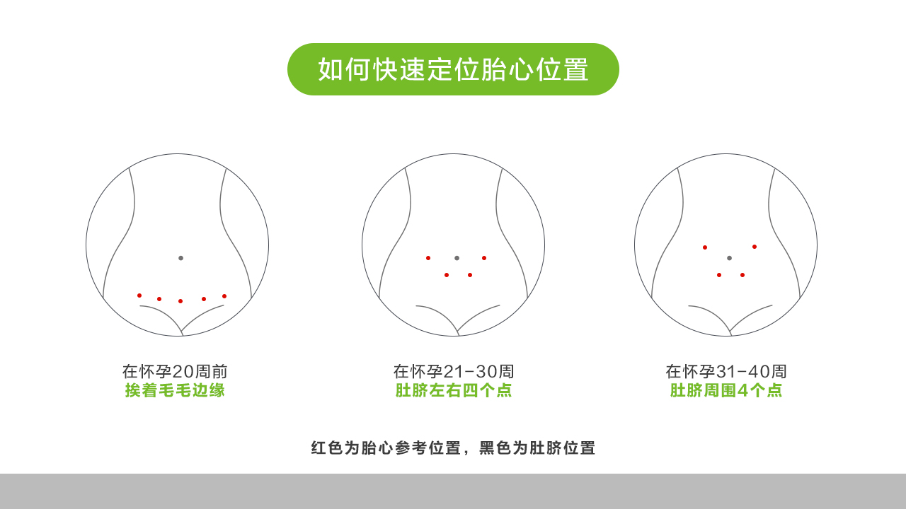 孕周胎心的位置示意图图片