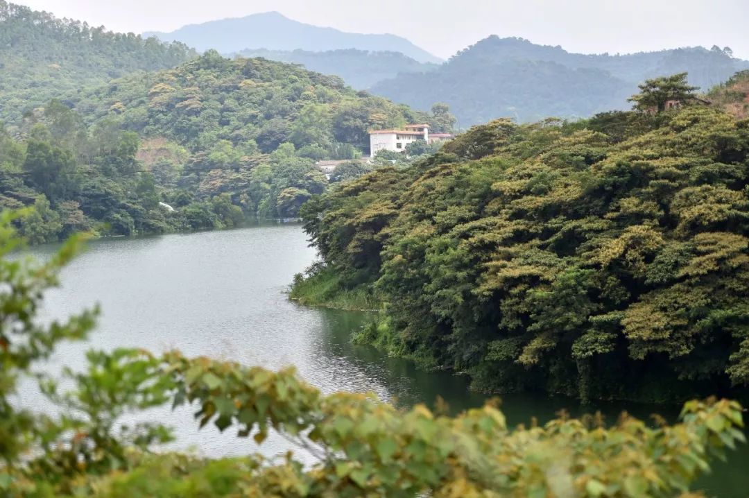 云浮市东风水库图片