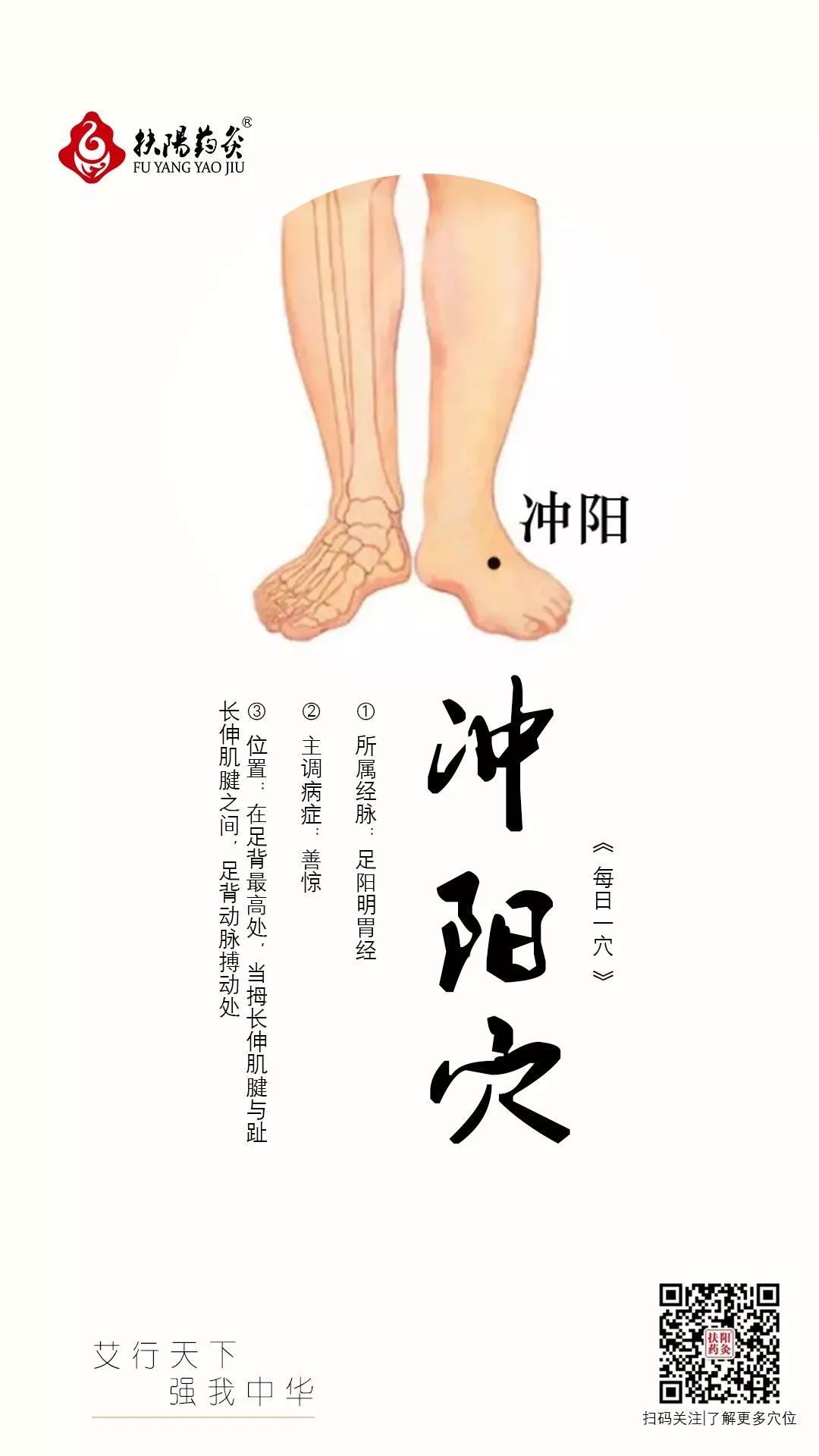 冲阳穴① 所属经脉:足阳明胃经② 主调病症:善惊③ 位置:在足背最高处