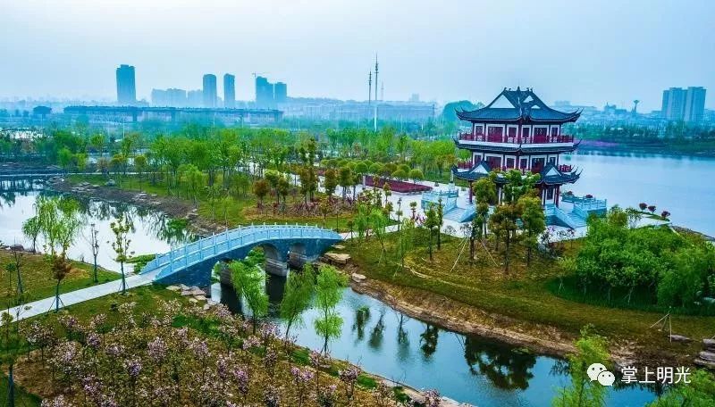 明光南湖公园图片