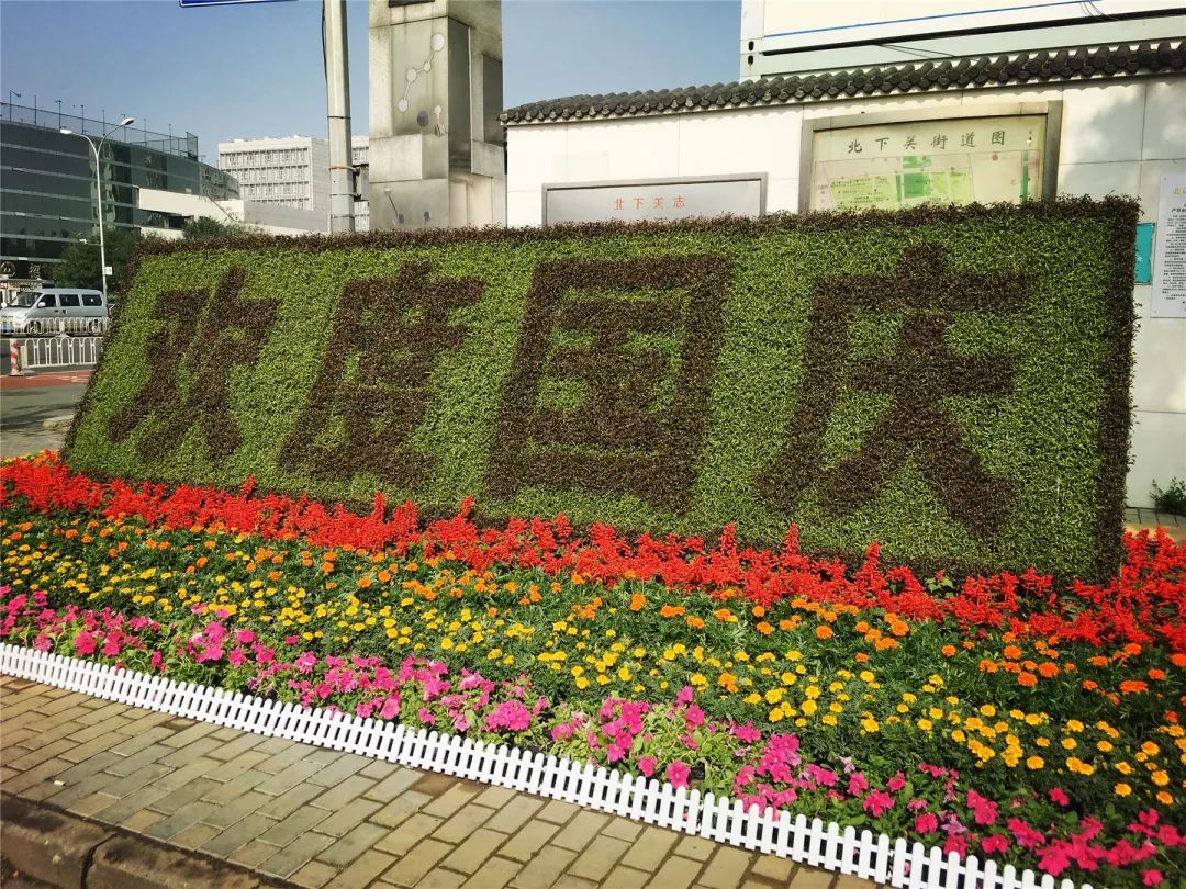 十一国庆花坛植物搭配图片