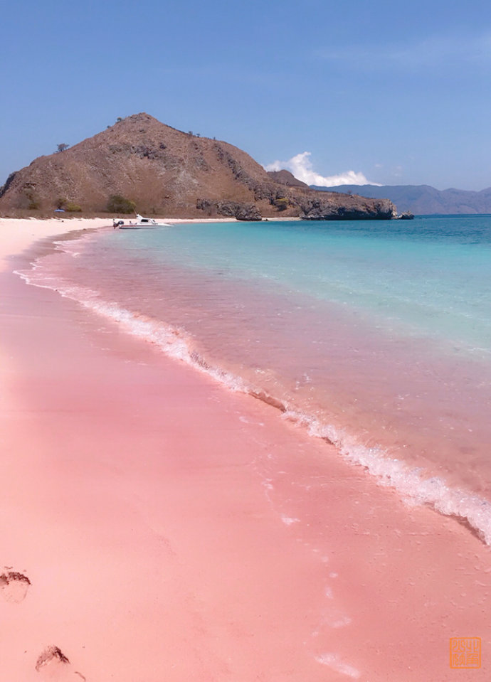 去印尼这个小岛看浪漫粉红沙滩与科莫多巨龙共舞