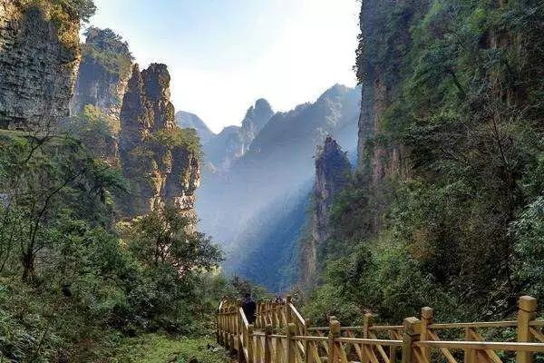 桃花源及油杉河景區綜合提升ppp項目(一期)等重點旅遊項目建設的進度