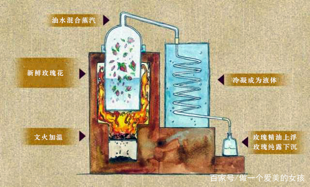 玫瑰精油的加工玫瑰精油貴的原因