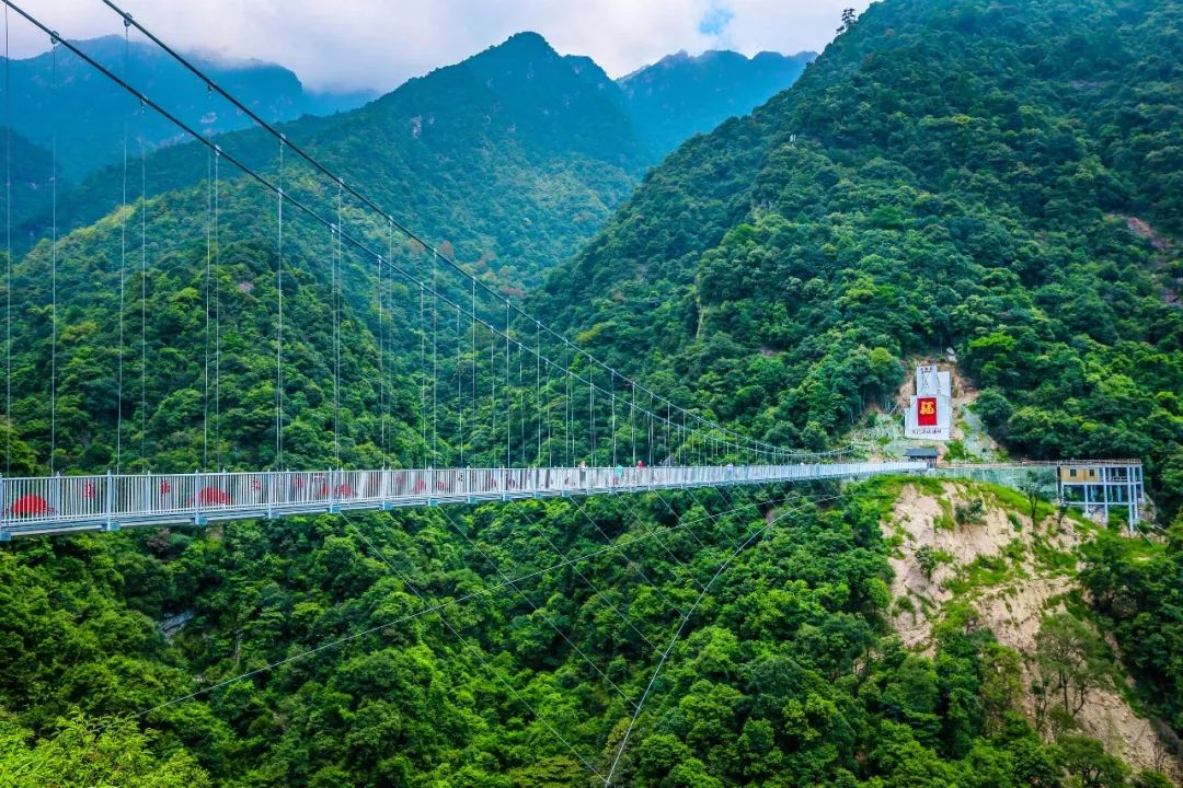 大同云门花海网红桥图片