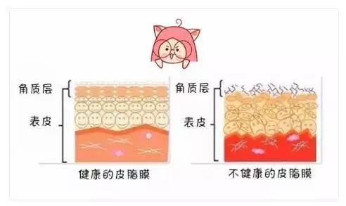 日常皮膚如何補水?