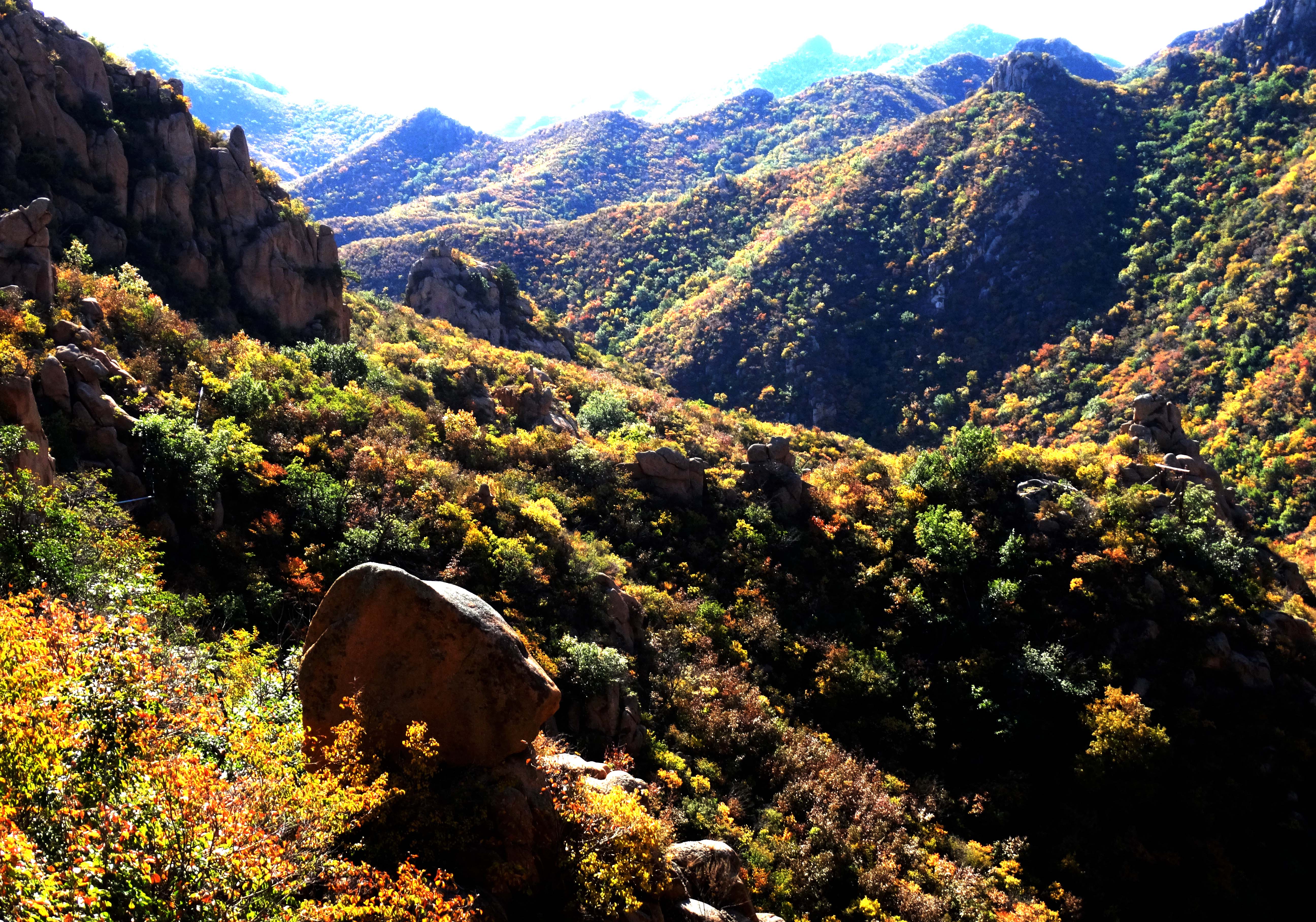 在怪石王国大黑山领略一场秋的盛宴