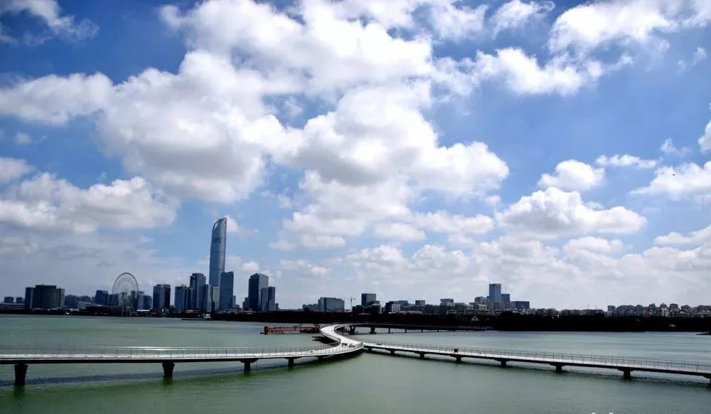 另外,金雞湖隧道項目不會對今年新建的步道和景觀產生影響.