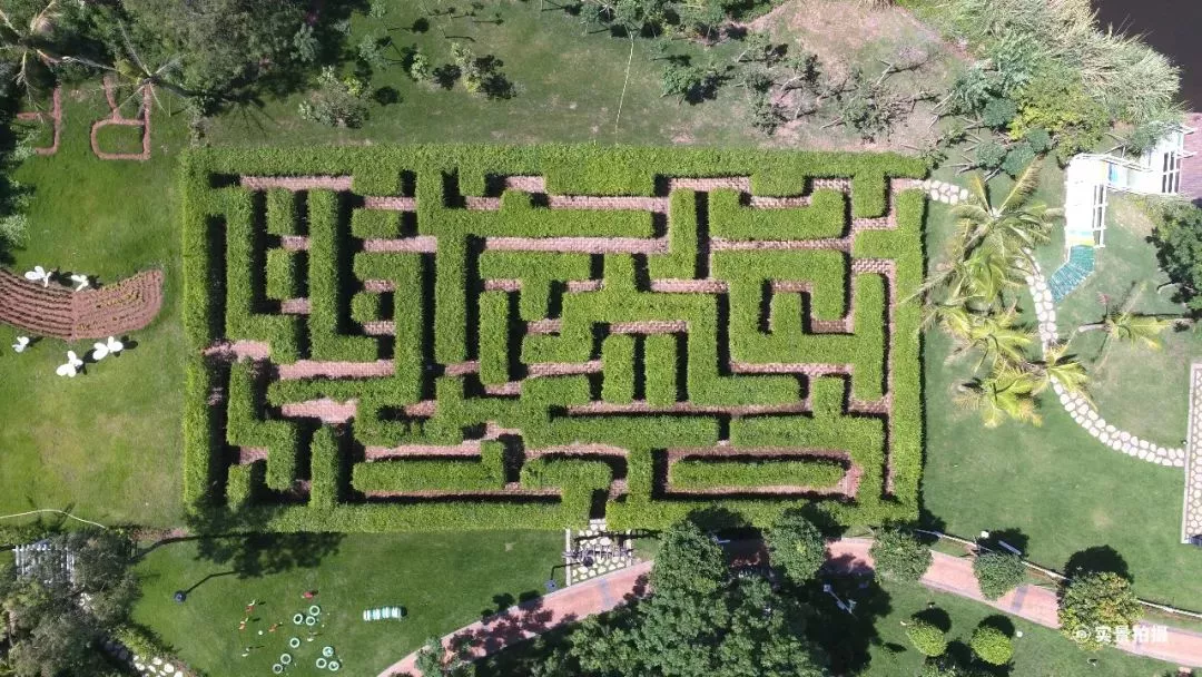 大屏嶂植物迷宫平面图图片