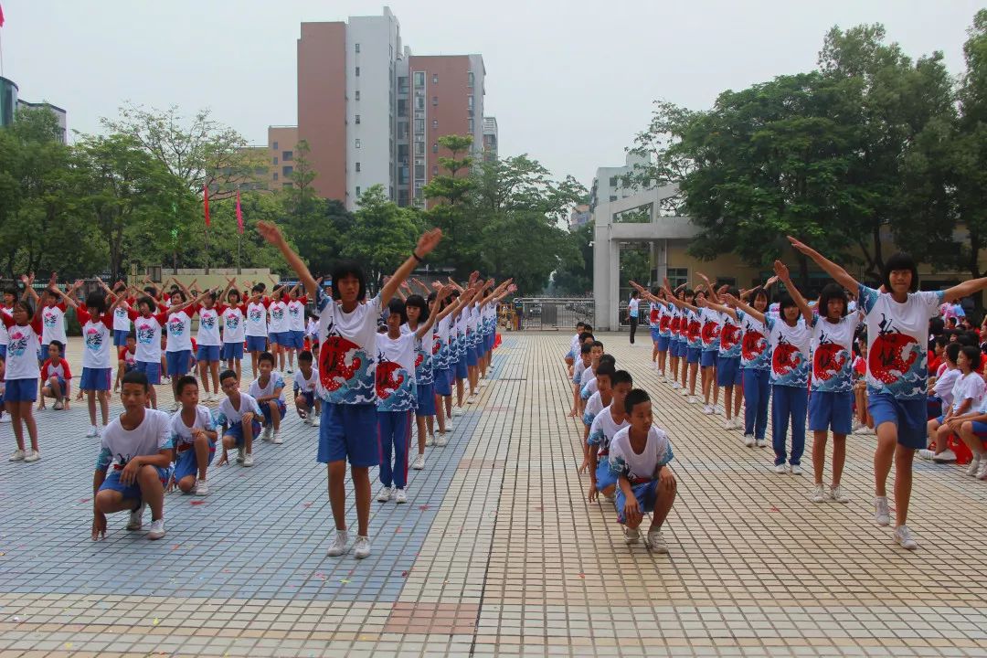 吴川市金沙中学图片