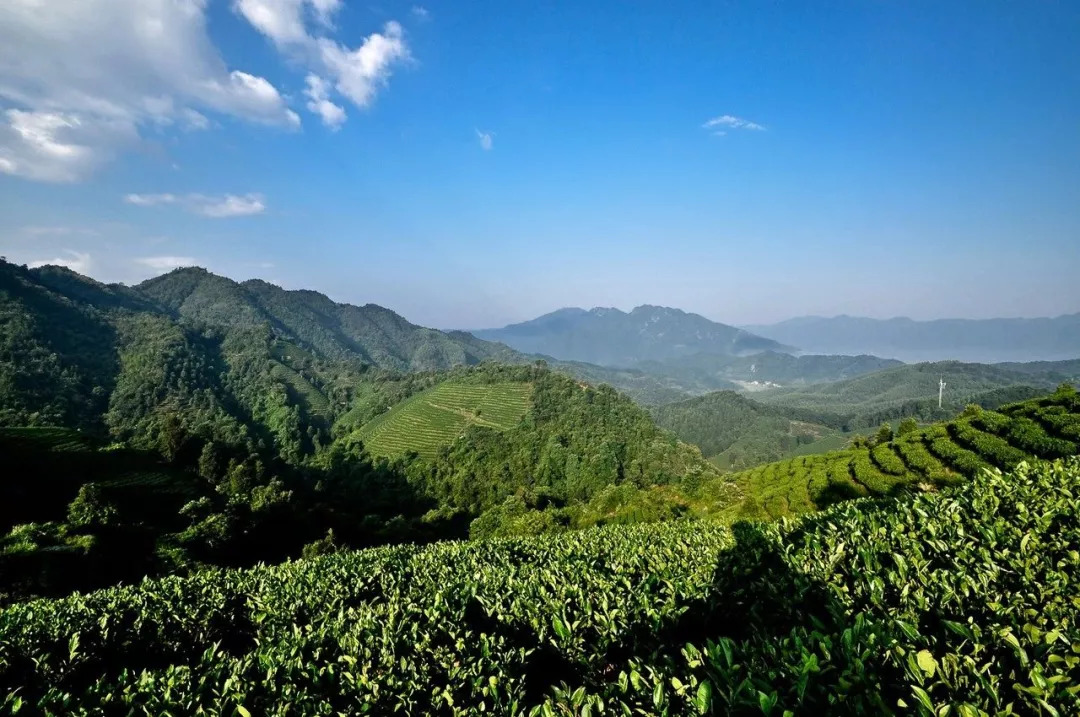 荣县双古镇牛峰山图片