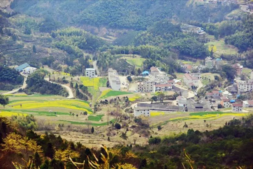 美丽乡村天台泳溪乡鎏金梯田上榜浙江最美田园