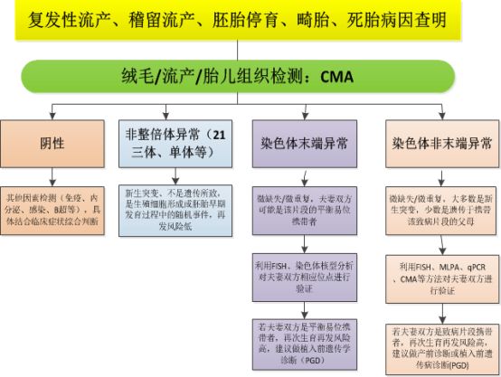 妇幼保健警惕自然流产可能是染色体惹的祸