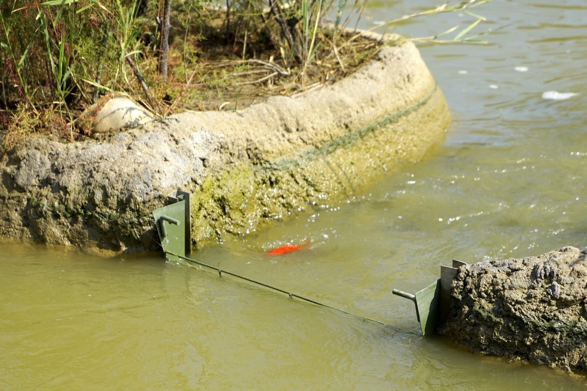 魚池中間棧道上,排列著一臺臺捕魚機,人們不需要盯著水面看魚兒是否