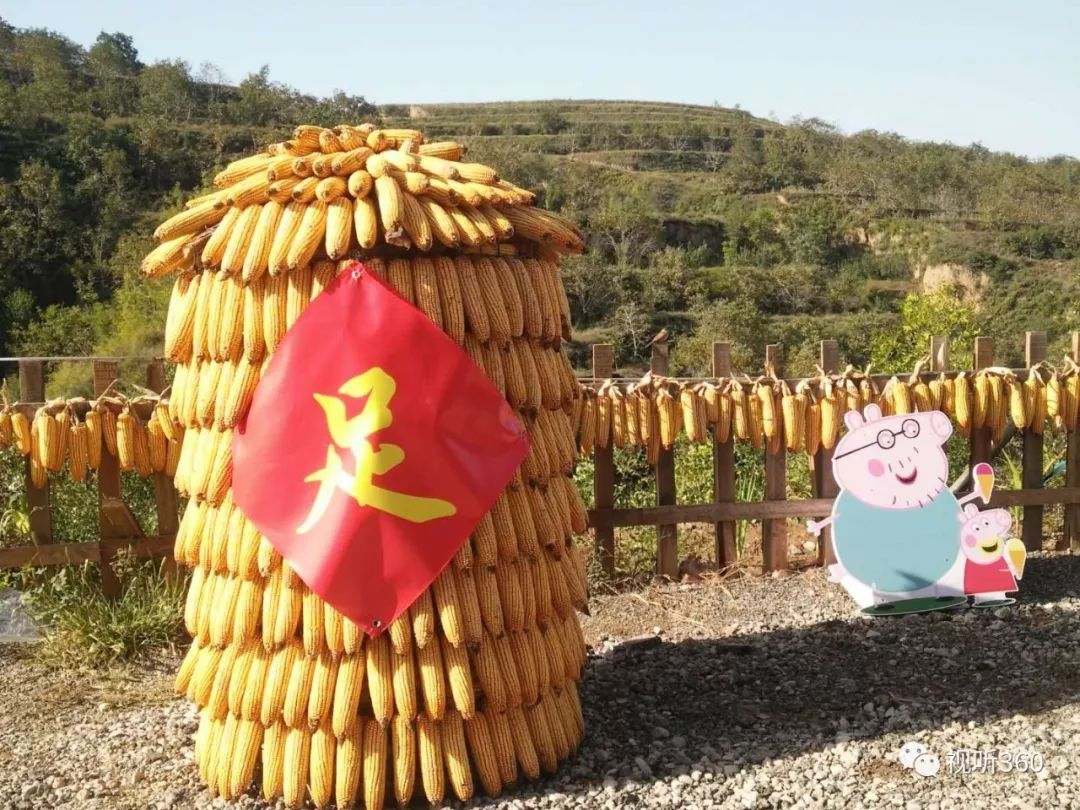 国庆黄金周来介休一起花式掰玉米创意粘贴画了解农耕史品尝玉米宴