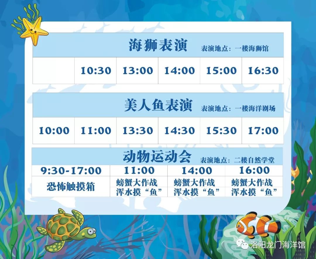 开封海洋馆节目时间表图片