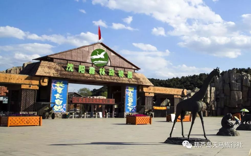 【天馬國慶*瀋陽方特 撫順皇家極地海洋世界(5館) 森林動物園】三日遊