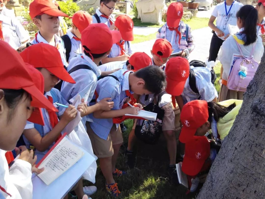 安海中心小學學生活動剪影培基小學學生活動剪影養正中心小學學生活動