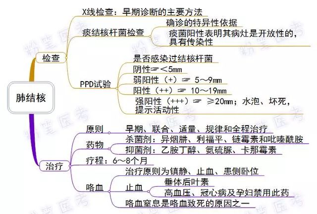 乾貨| 思維導圖在護理工作中的應用