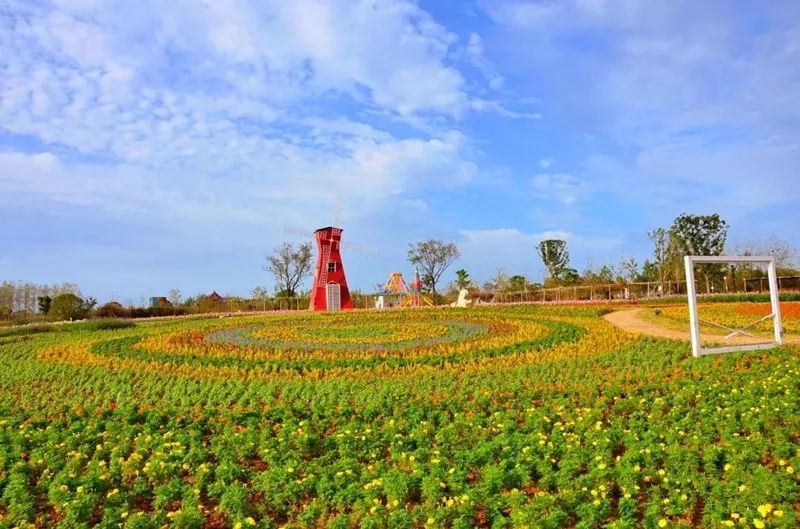 上午滬渝高速至宜昌枝江市安福寺出口下,抵達東方年華遊覽和午餐(東方