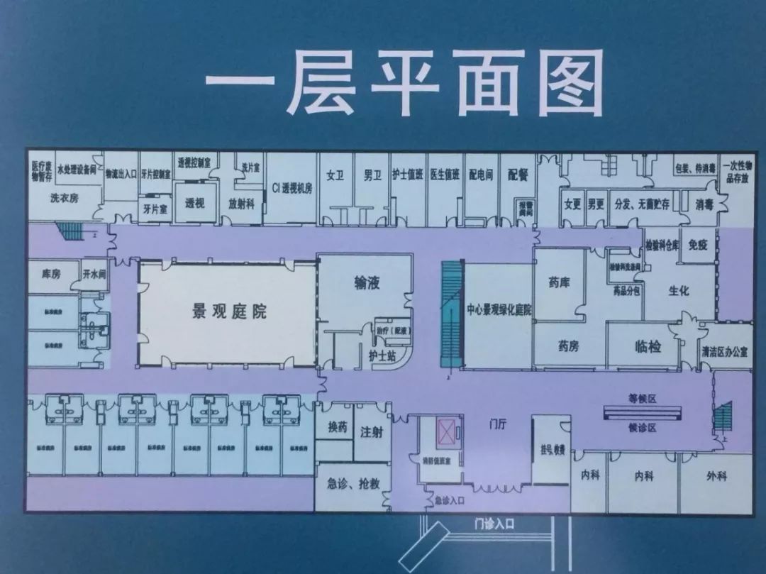 千佛山预约挂号查询(千佛山医院网上挂号官网)