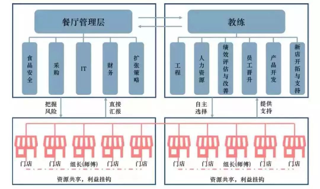 海底捞组织结构图分析图片