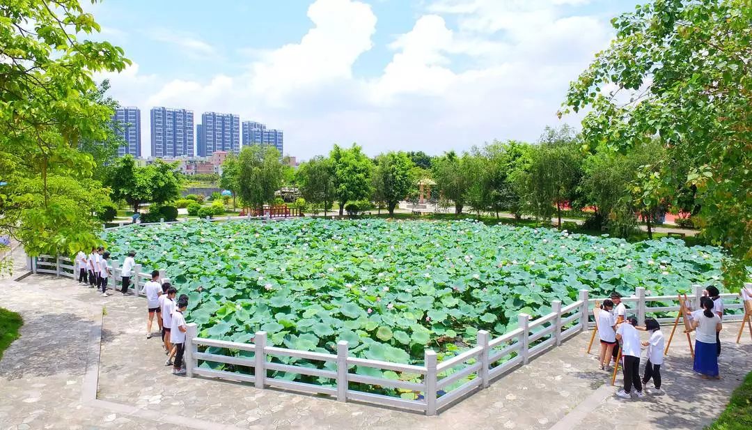 和顺一中图片