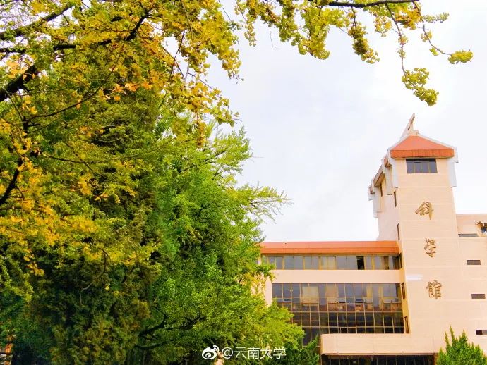 昆明醫科大學官網 在國際上都有影響力的中國著名大學 @zol-偶德