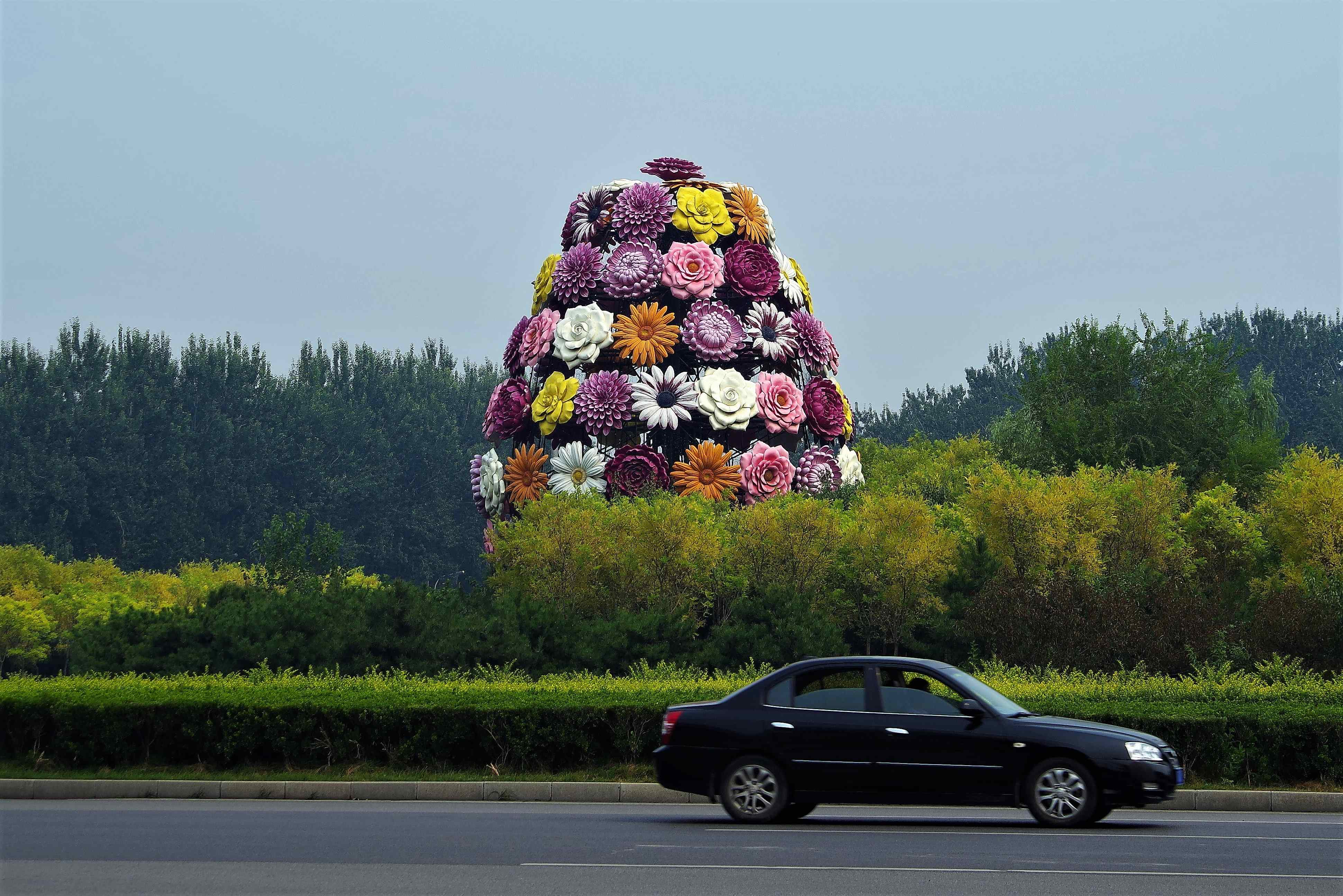 北京花博会主题公园图片