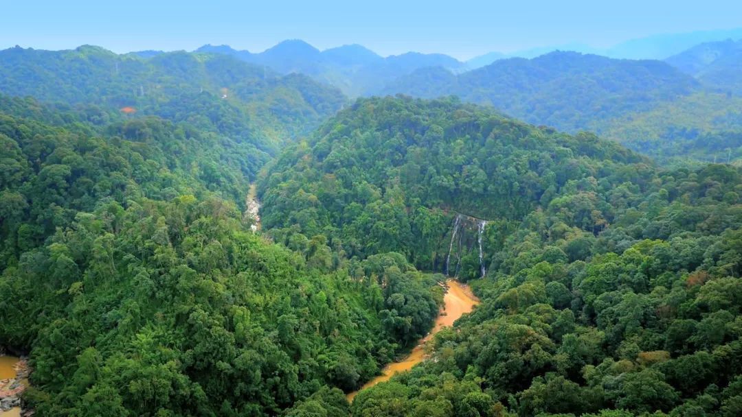 惠州龙门县喜获中国天然氧吧称号