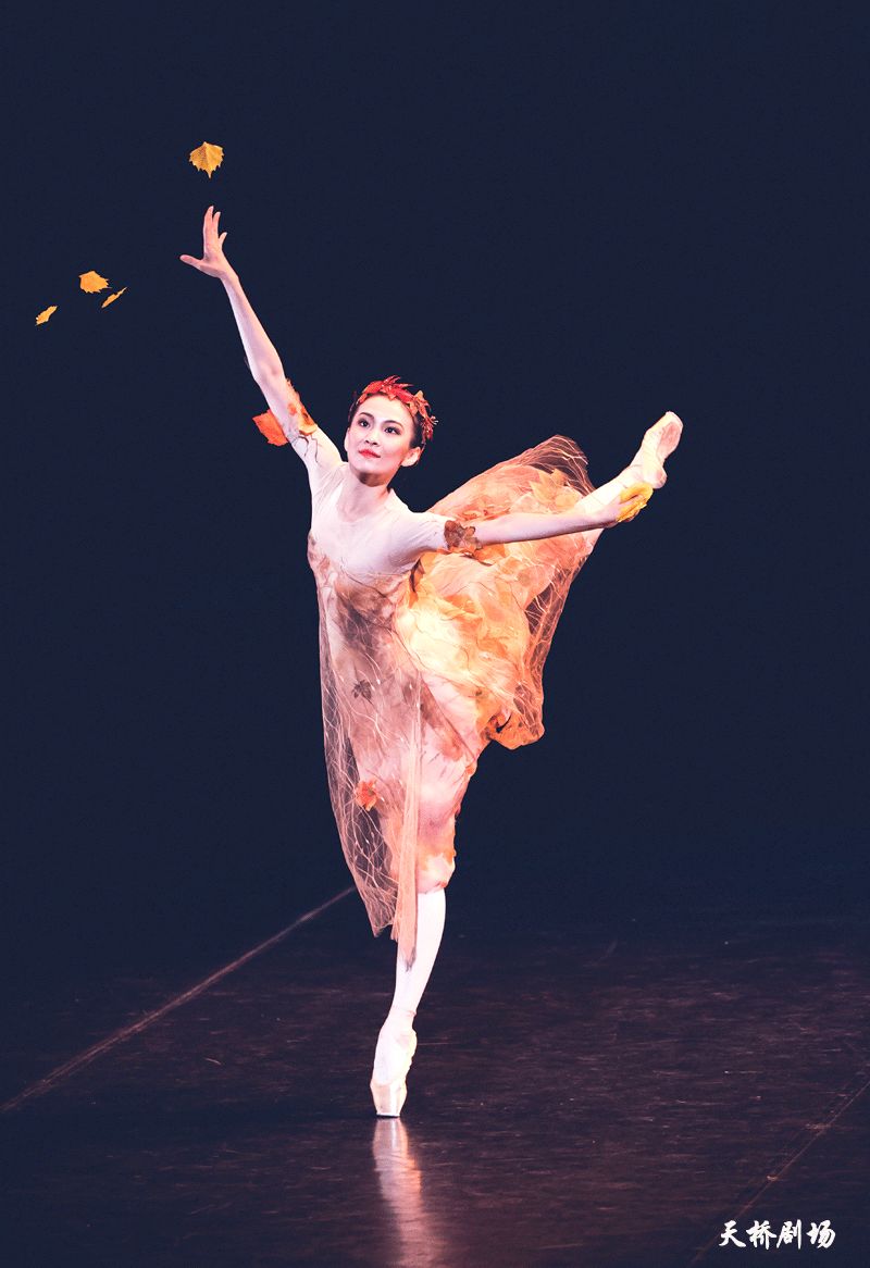 国家艺术院团演出季中央芭蕾舞团灰姑娘剧照赏析