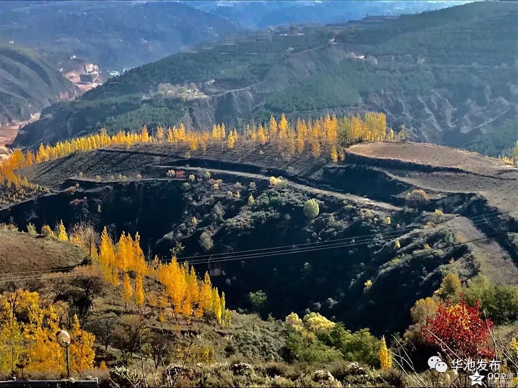 今年國慶去哪兒何不邀三五好友帶上家人去華池山溝溝看萬山紅遍還有層