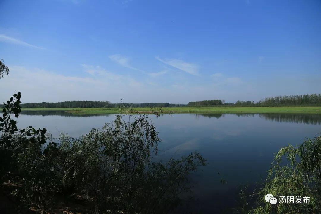 湯河國家溼地公園觀光旅遊車,遊艇上線啦!_湯陰縣