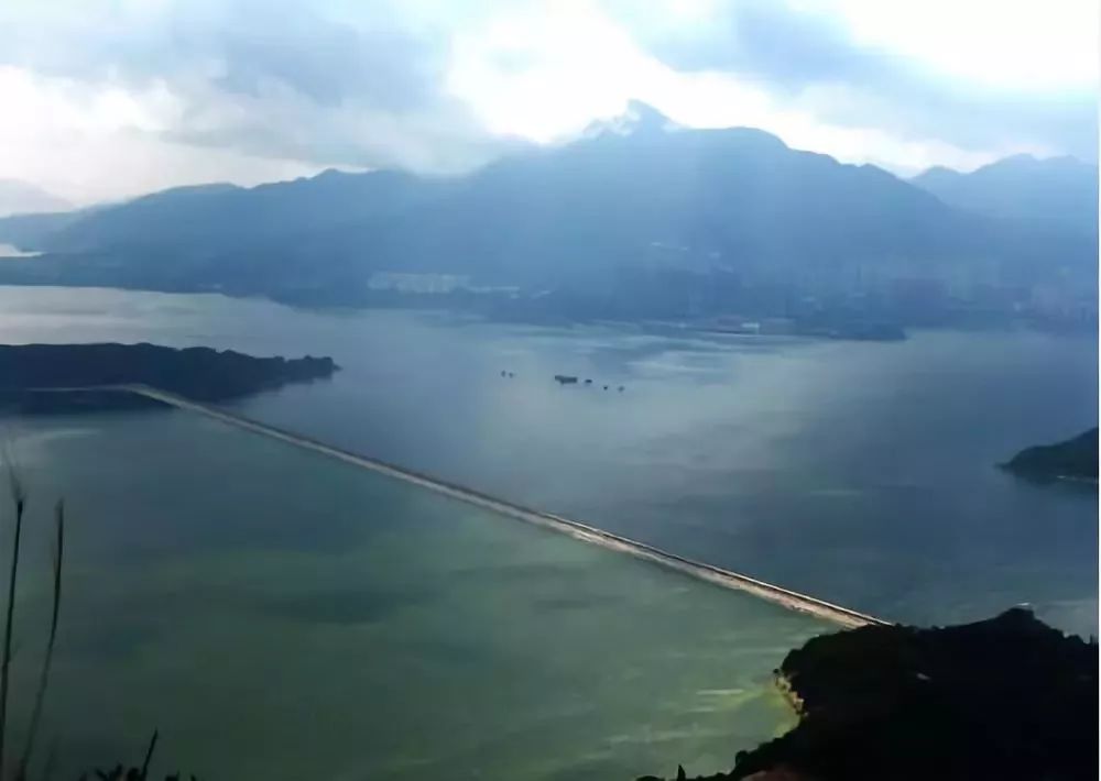 01 船湾淡水湖你一定不能错过这些到了香港香港,一个让人听起来就满心