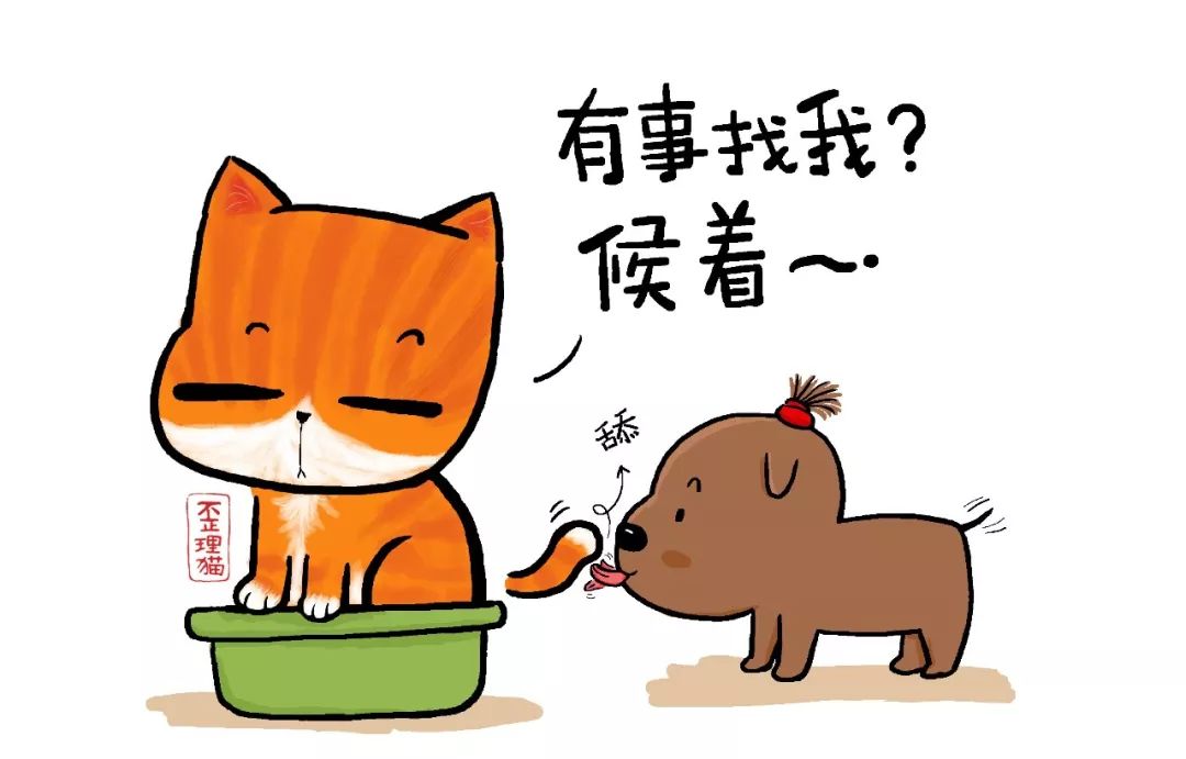 歪理猫品牌商务合作