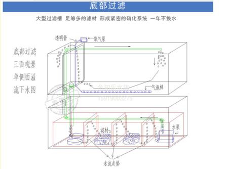 背滤海缸过滤系统图图片