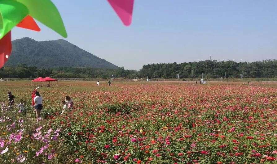 芜湖珩琅山玫瑰谷